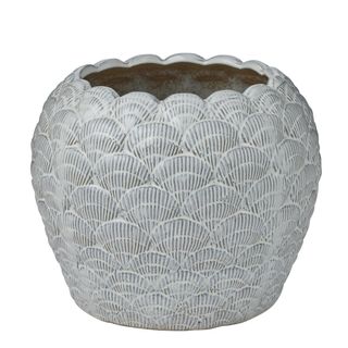 Cockle collection