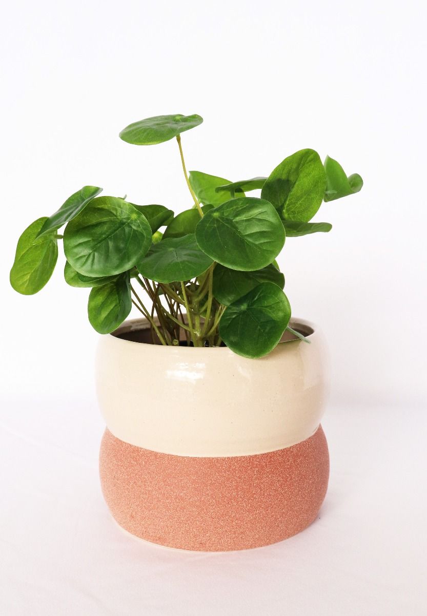Brynn  Squat Planter