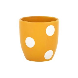Spotted Ceramic Pot - 22