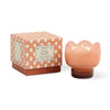 Tulip glass candle in gift box