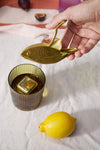 The Stevie Fish Citrus Juicer