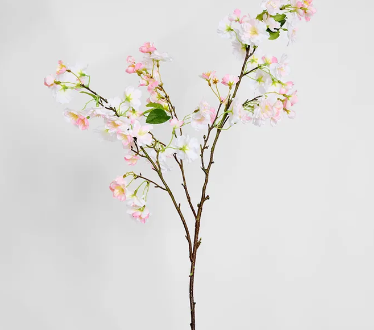 Cherry Blossom Large Dark Stem