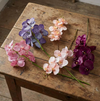 Vanda orchid stem 66cm