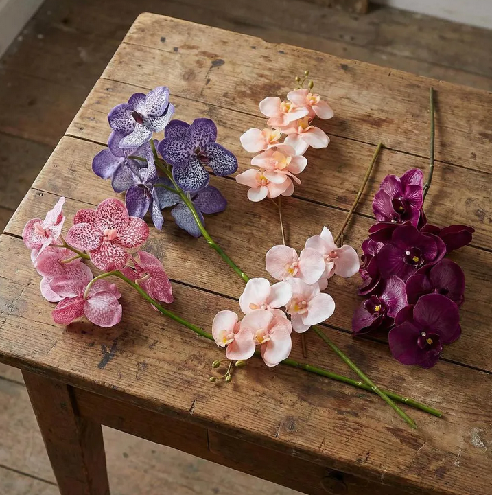 Vanda orchid stem 66cm
