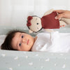 Knitted Animal Toy- Helen the Hedgehog