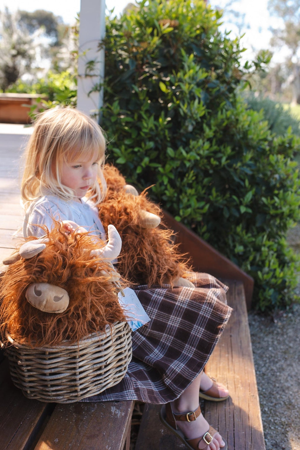 Nanna Huchy - Heidi the highland cow