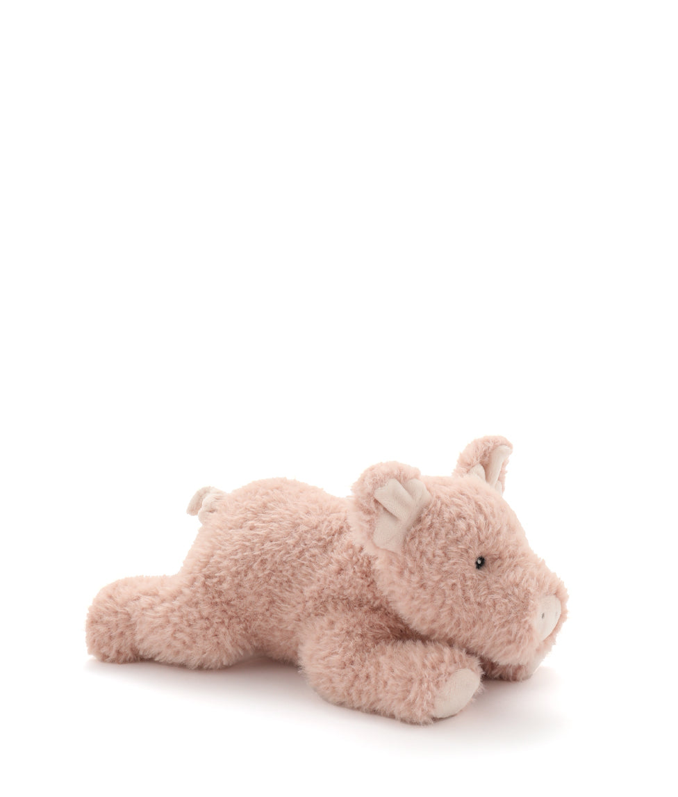 Paloma The Pig