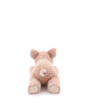 Paloma The Pig