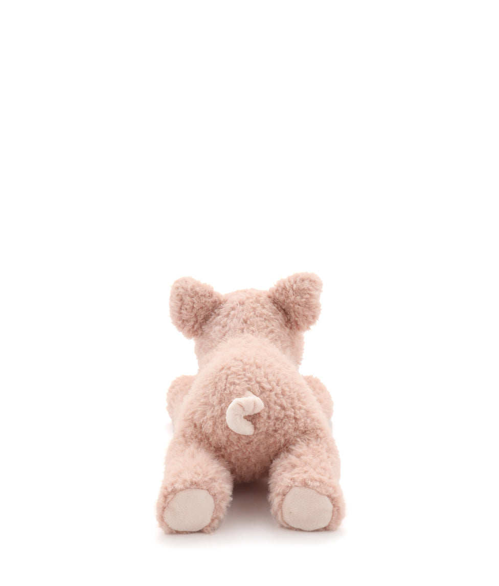 Paloma The Pig