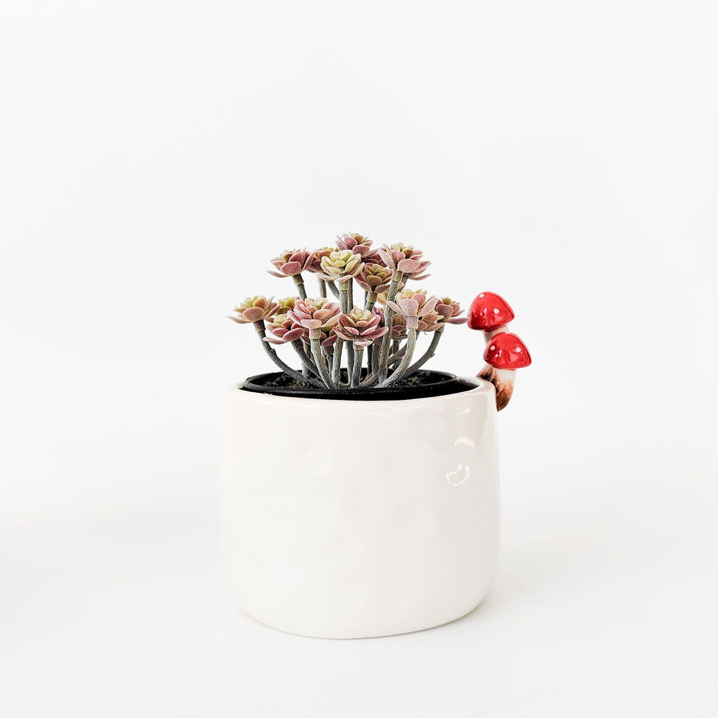 Urban Product - Toadstool Planter White
