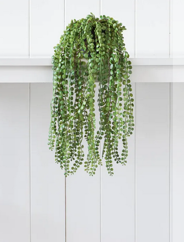 Hanging Foliage – Growing Space Interiors