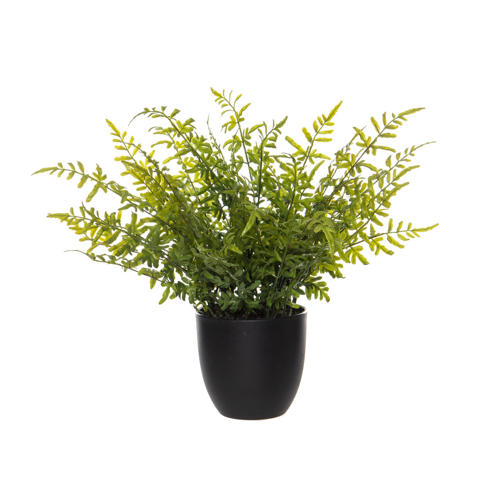 Albi - Leather fern artificial plant